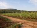 Kibbutz Yiftah Golon Heights, Israel